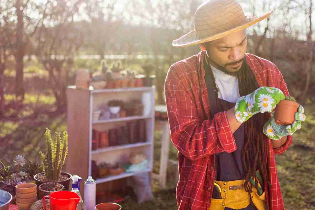 How Cold Hardy Are Succulents Your Complete Guide
